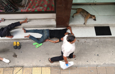 Cat sitting on footpath