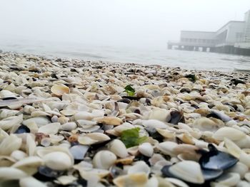 Surface level of pebble beach against sky