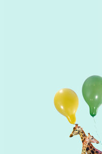 Close-up of balloons against white background
