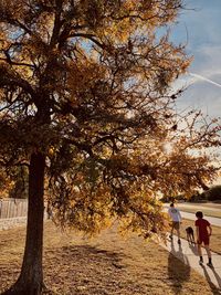 Rear view of people walking on tree during autumn