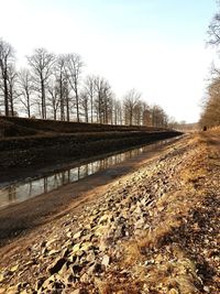 Empty road by bare trees on field against sky