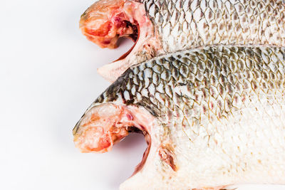 Close-up of fish for sale