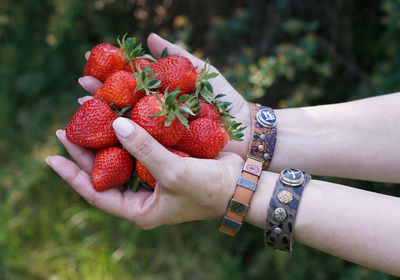 Cropped image of person holding strawberries