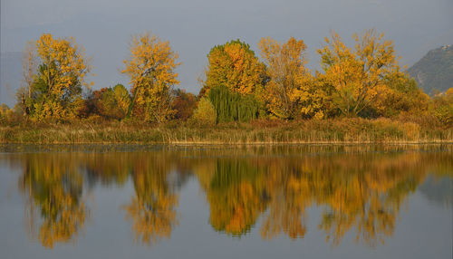 Reflection of trees in lake against sky