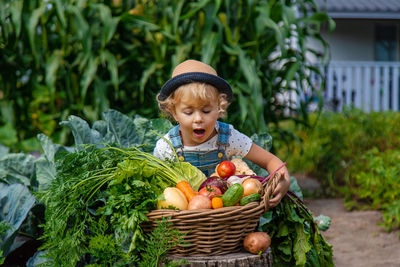 Portrait of cute baby boy picking tomatoes in wicker basket