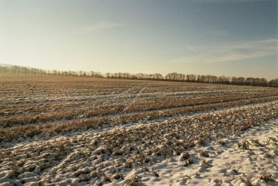 Scenic view of field against sky