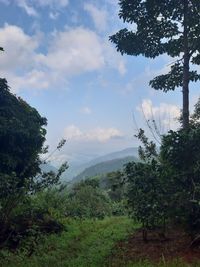 Scenic view of trees and mountains against sky