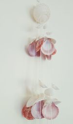 Close-up of shell windchimr hanging over white background