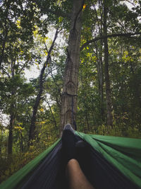 Low section of person in hammock against trees in forest