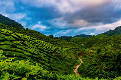 Scenic view of landscape against sky