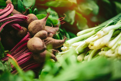 Beets and salad at farmers' market