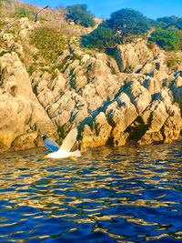 Scenic view of rocks in sea