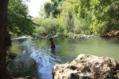 Scenic view of river in forest