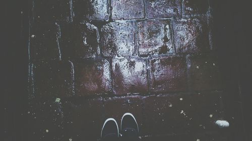 Low section of person standing on ground