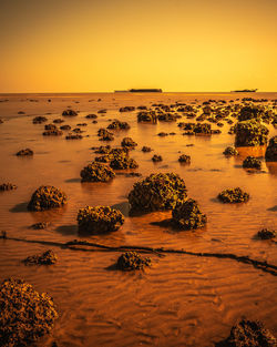 Scenic view of sea against sky during sunset