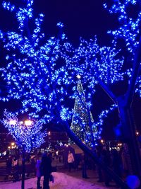 Low angle view of illuminated christmas tree at night