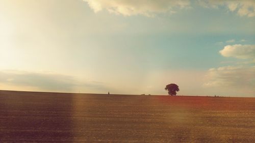 Scenic view of field against sky during sunset