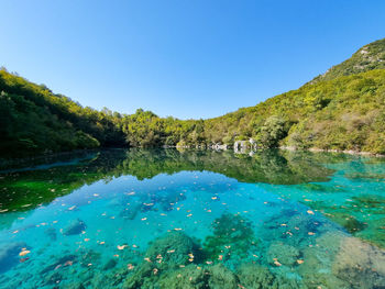 Scenic view of lake against clear blue sky