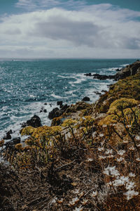 Scenic view of sea against sky