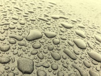 Full frame shot of wet sand