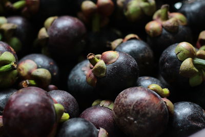 Close up mangosteen