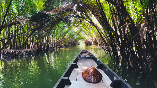 Scenic view of lake and palm trees