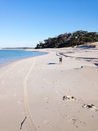 Scenic view of beach against clear blue sky