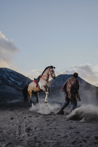 Rear view of man riding horse against clear sky