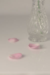 Close-up of pink flowers on table