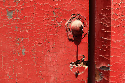 Close-up of red door on wall