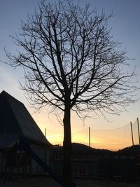 Bare trees against sky at sunset