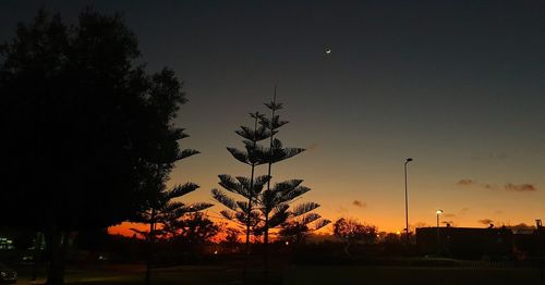 Silhouette trees against sky at night