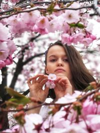 Portrait of woman with pink cherry blossoms in spring