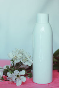 Close-up of white rose on table