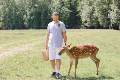 A man feeding cute spotted deer bambi  in the forest