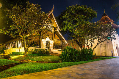 View of trees at night