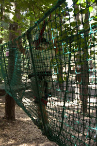 Close-up of metal fence