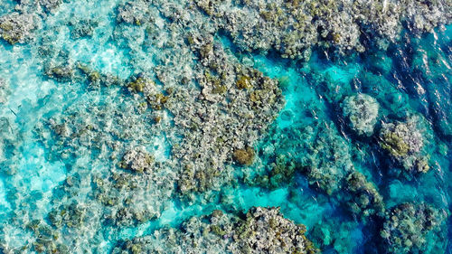 Full frame shot of blue water in swimming pool