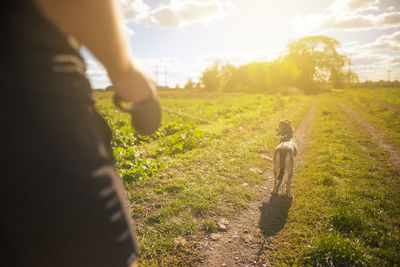 Midsection of man standing on field