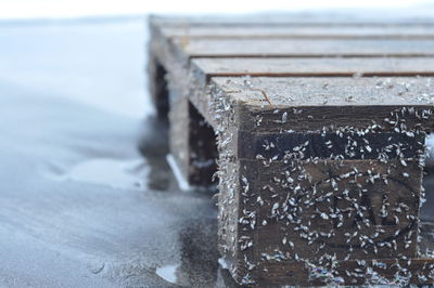 Close-up of icicles on table