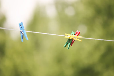 Colorful plastic clothespins on the rope outdoors.