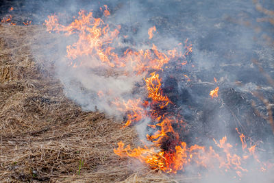 Bonfire on field