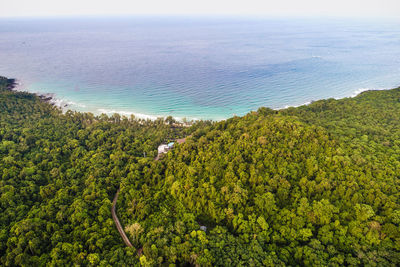 High angle view of trees on sea shore