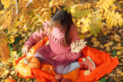 Rear view of girl sitting on leaves during autumn