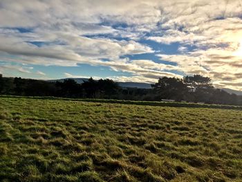 Scenic view of field against sky