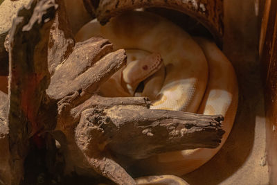 Close-up of rocks on rock