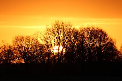 Silhouette bare trees against sky during sunset