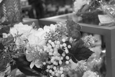 Close-up of flowers