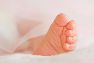 Low section of baby feet on bed