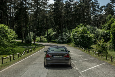 Cars on road in forest